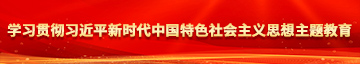 黑丝美女日逼视频学习贯彻习近平新时代中国特色社会主义思想主题教育